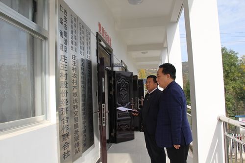 西安市第九医院赴庄王村开展“美丽乡村·文明家园”共建活动 西安市第九医院赴庄王村开展“美丽乡村·文明家园”共建活动