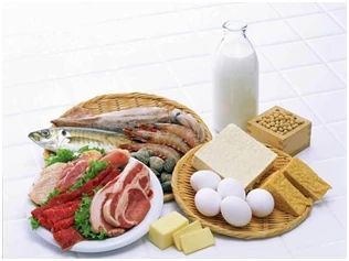【科普园地】肾不好到底该不该吃肉? 【科普园地】肾不好到底该不该吃肉?
