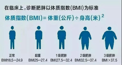 【健康科普】老年痴呆可以预防吗？
