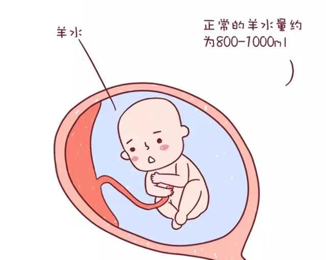 惊心动魄!产妇突发脐带脱垂,妇产科团队上演急速救援 惊心动魄!产妇突发脐带脱垂,妇产科团队上演急速救援