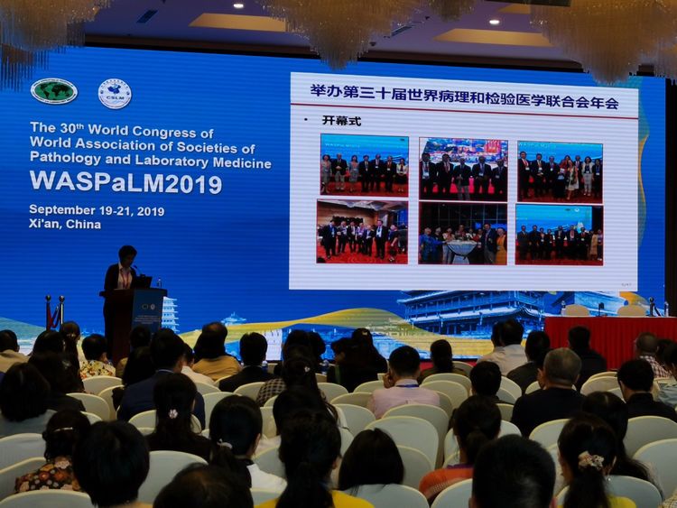 市九院医学检验科助力第三十届世界病理与检验联合大会的成功举办 市九院医学检验科助力第三十届世界病理与检验联合大会的成功举办