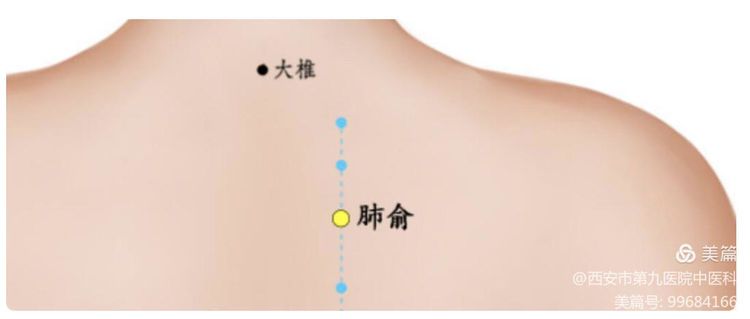 处暑天还暑，好似秋老虎