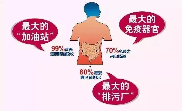 【科普园地】肠道好,才是真健康 【科普园地】肠道好,才是真健康