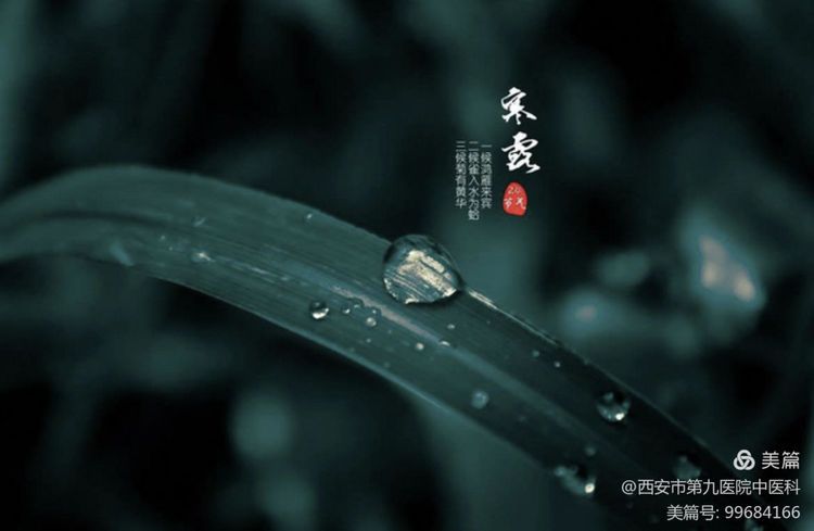 中医说——寒露时节天渐寒 中医说——寒露时节天渐寒