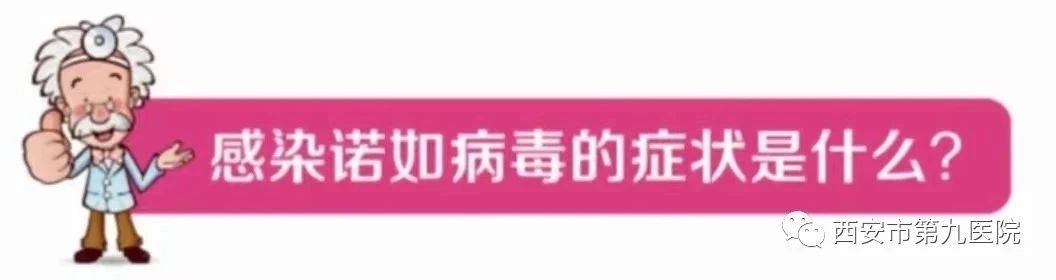 【健康科普】了解诺如病毒,安心守护健康 【健康科普】了解诺如病毒,安心守护健康
