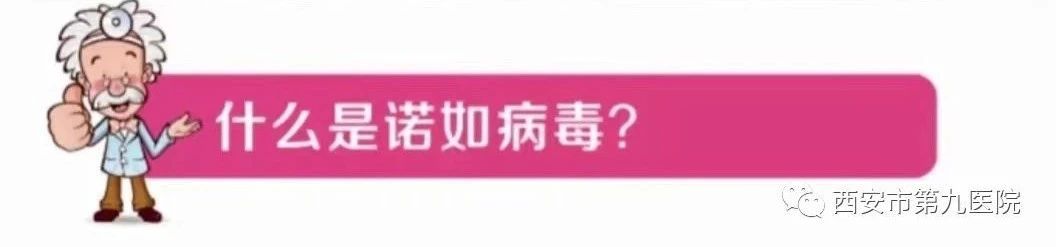 【健康科普】了解诺如病毒,安心守护健康 【健康科普】了解诺如病毒,安心守护健康