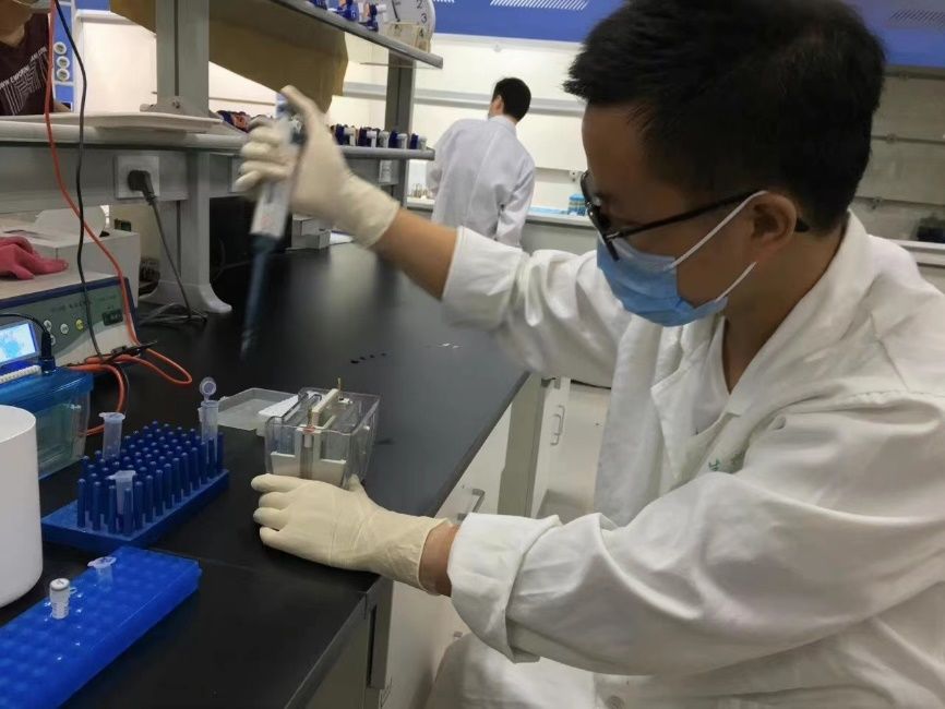 市九院王鹏博士发表高影响因子SCI论文