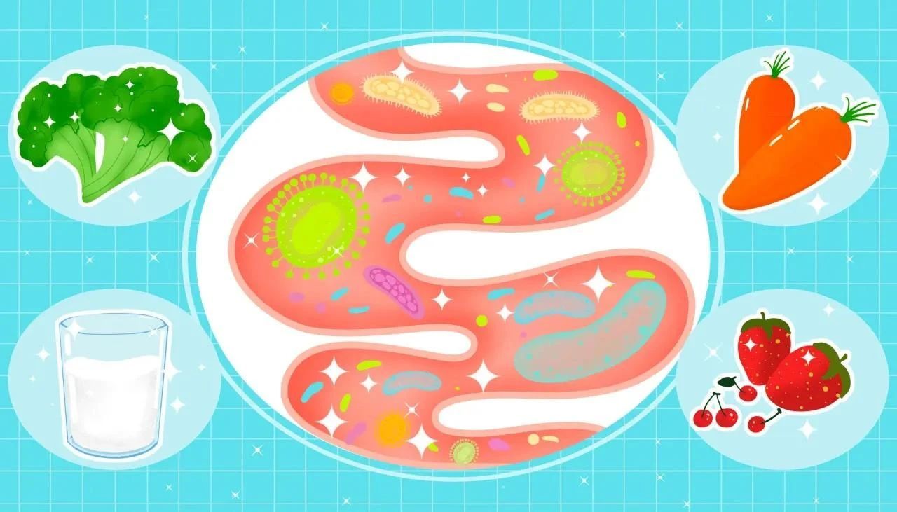 【科普园地】肠道好,才是真健康 【科普园地】肠道好,才是真健康