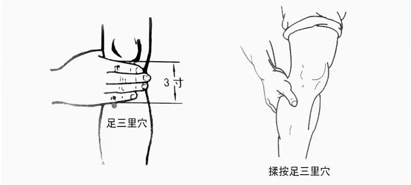 一个小穴位，搞定脾和胃