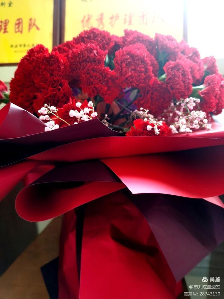 情暖护士节 鲜花爱传递