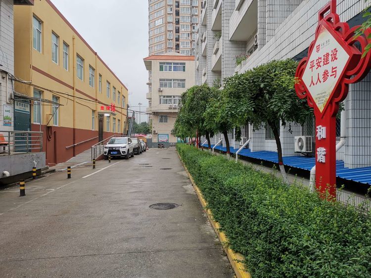 爱院如家 九院人用行动打造健康优美院区环境 爱院如家 九院人用行动打造健康优美院区环境