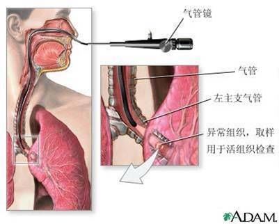 九院舒适化医疗再开新篇章 九院舒适化医疗再开新篇章