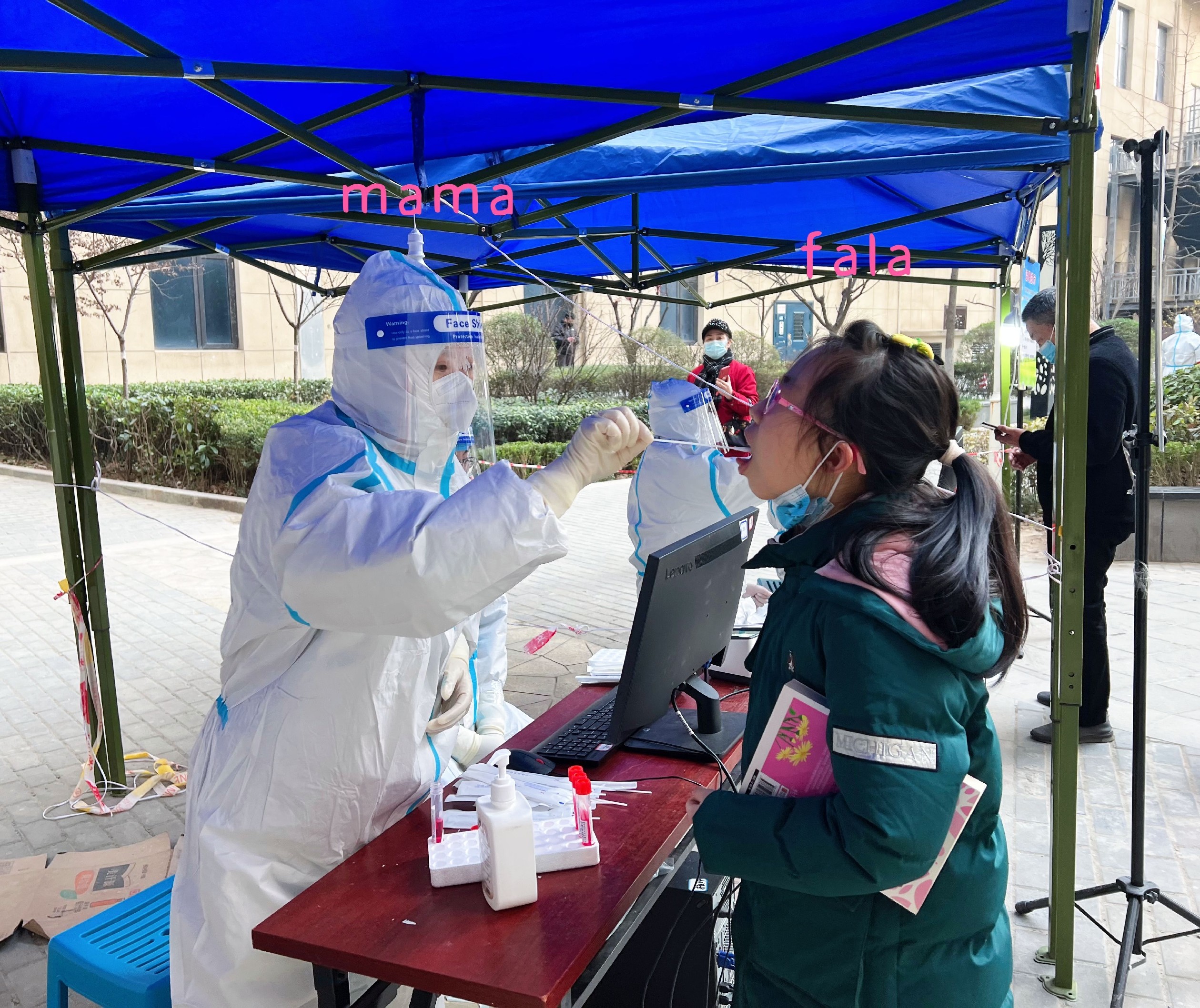 最美职工——机关第二党支部 甄珍 雷少辉