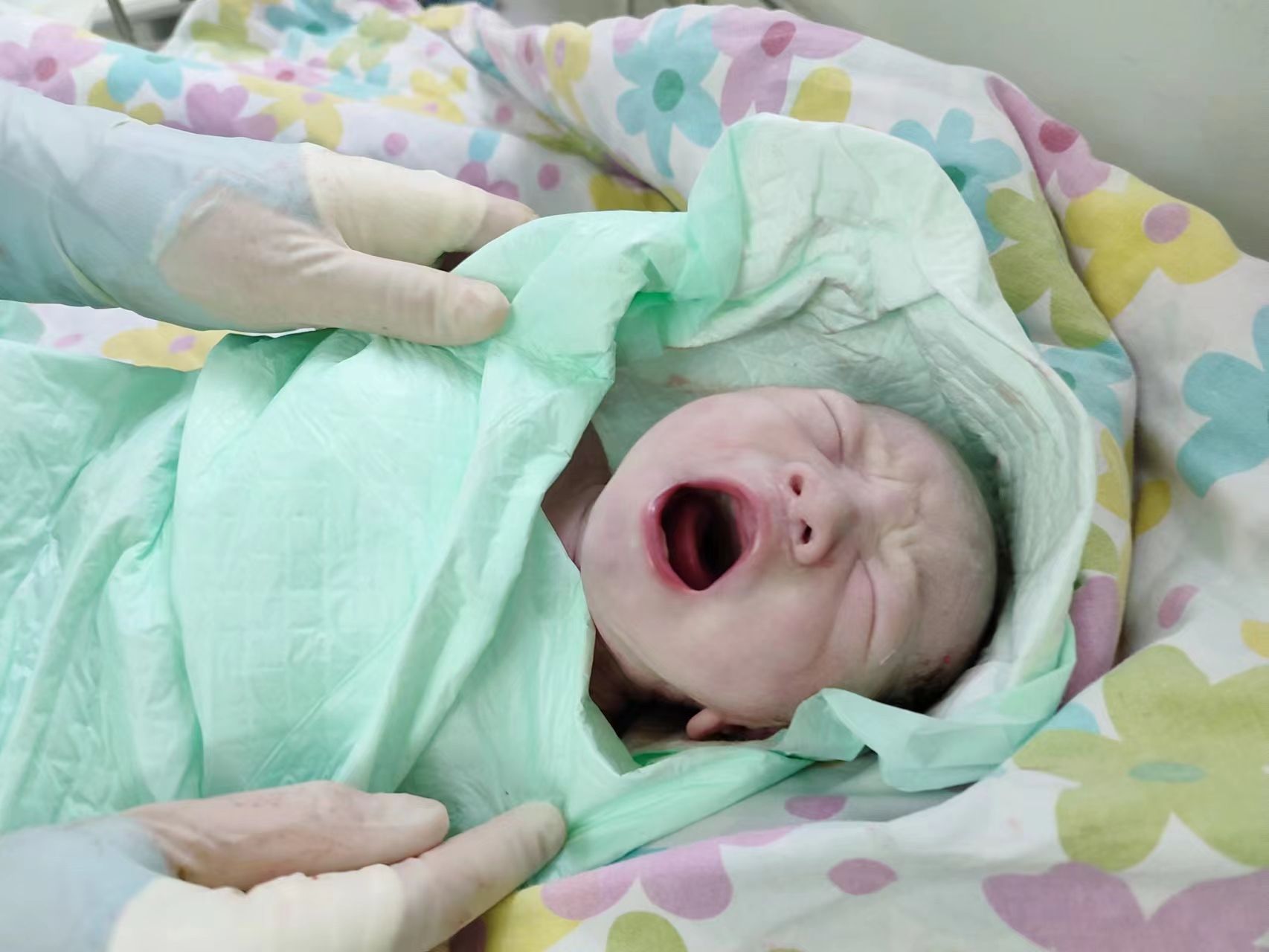 新年伊始,我院喜迎首位“兔宝宝” 新年伊始,我院喜迎首位“兔宝宝”