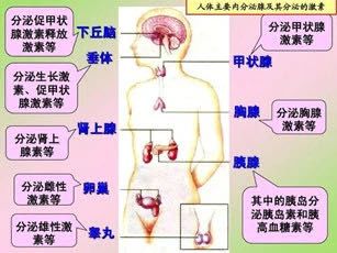 【健康知识】老年病科专家科普小讲坛,您对“激素”知多少? 【健康知识】老年病科专家科普小讲坛,您对“激素”知多少?