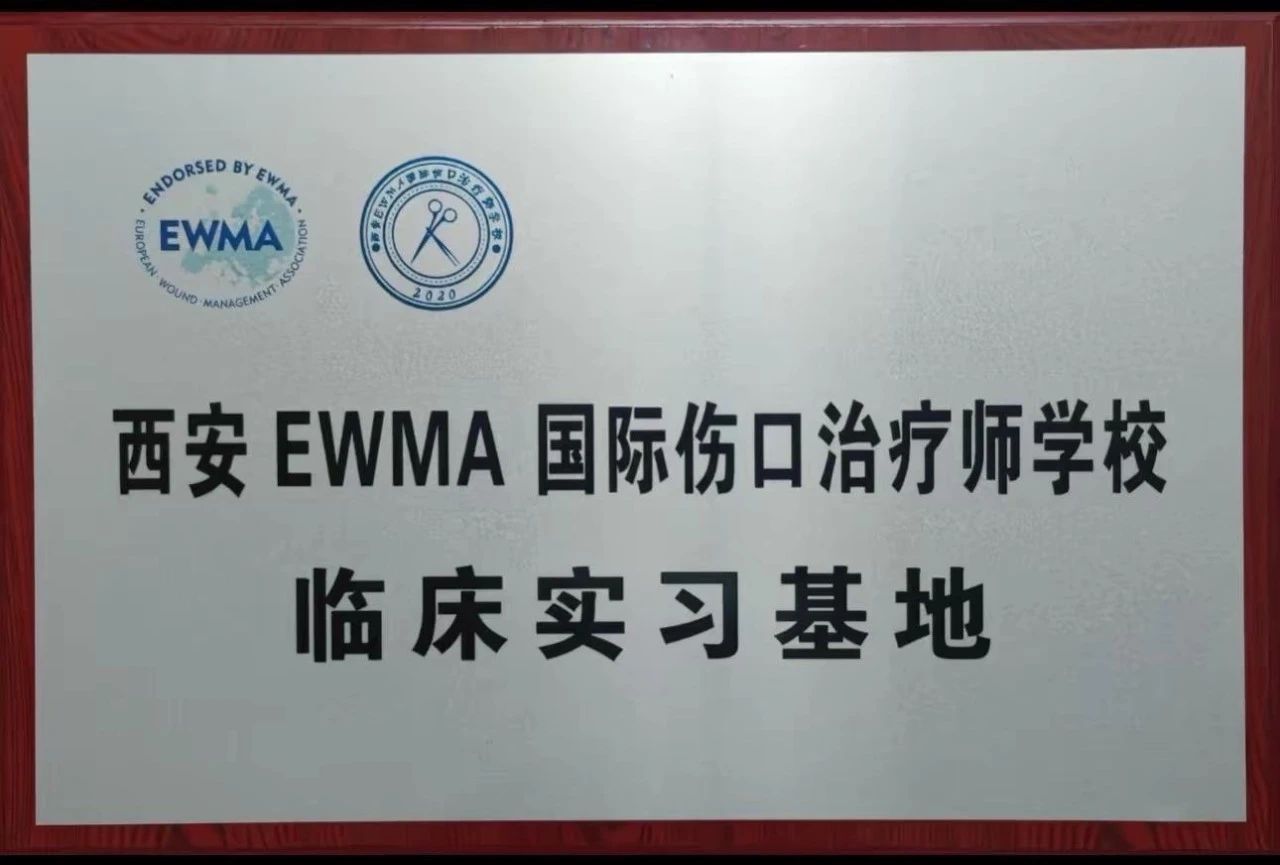 西安市第九医院国际伤口造口治疗师王丽娜在中国医师协会2024年烧伤科医师年会上进行论文交流发言 西安市第九医院国际伤口造口治疗师王丽娜在中国医师协会2024年烧伤科医师年会上进行论文交流发言