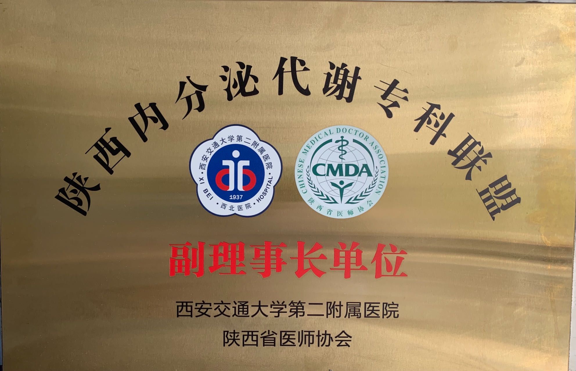 祝贺西安市第九医院内分泌科获得陕西省医师协会颁发的陕西省内分泌专科联盟副理事长单位称号 祝贺西安市第九医院内分泌科获得陕西省医师协会颁发的陕西省内分泌专科联盟副理事长单位称号