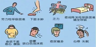 【健康科普】一颗“疲惫的心”，您将如何呵护？（一）