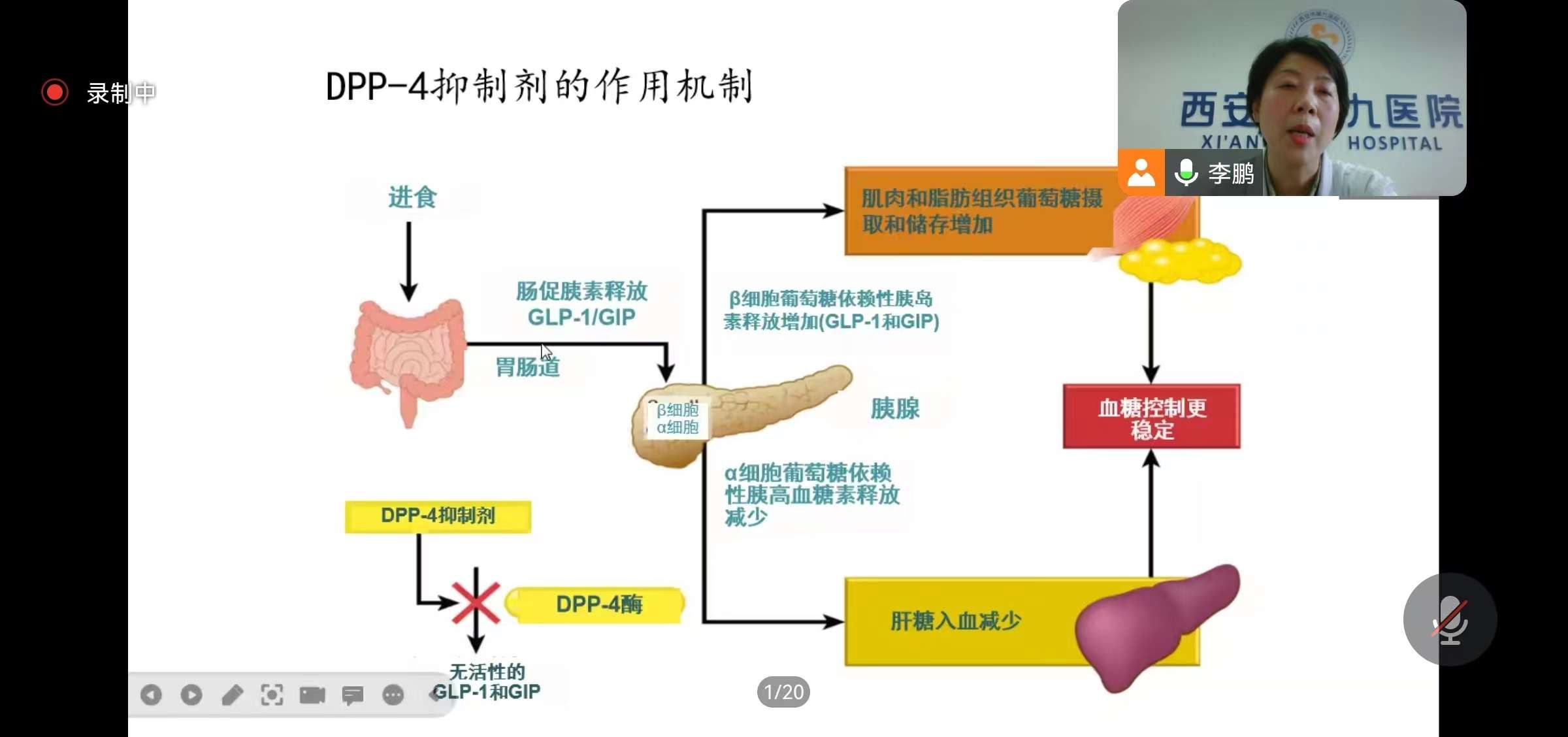我院成功举办“西安市糖尿病防治中心工作总结暨2024年工作部署会议 ” 我院成功举办“西安市糖尿病防治中心工作总结暨2024年工作部署会议 ”