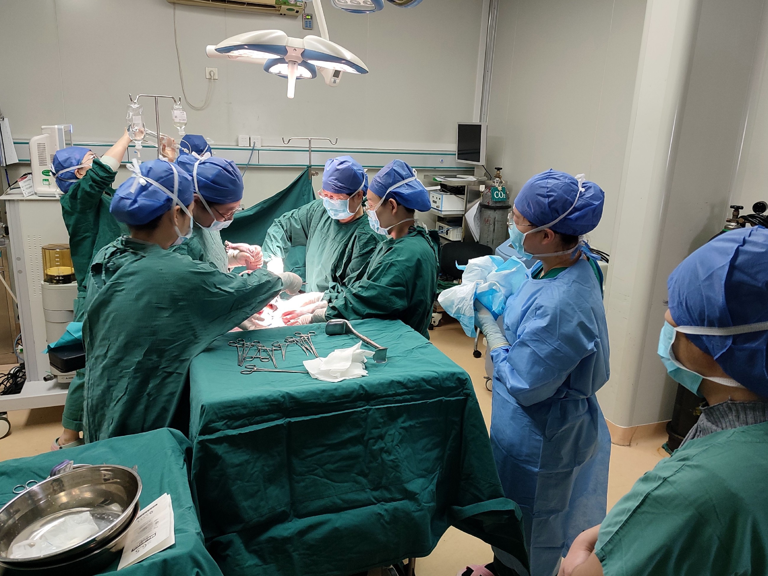 新年伊始,我院喜迎首位“兔宝宝” 新年伊始,我院喜迎首位“兔宝宝”