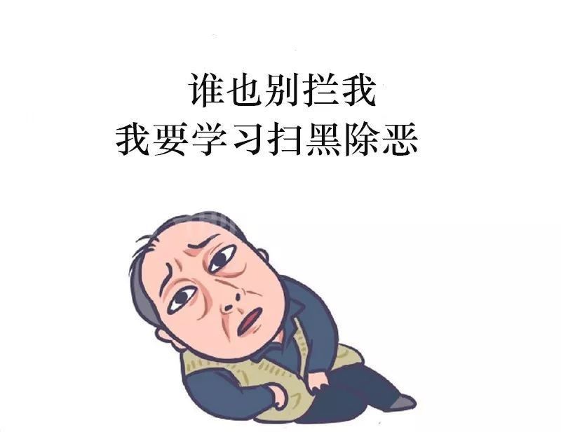 扫黑除恶知识手册 扫黑除恶知识手册