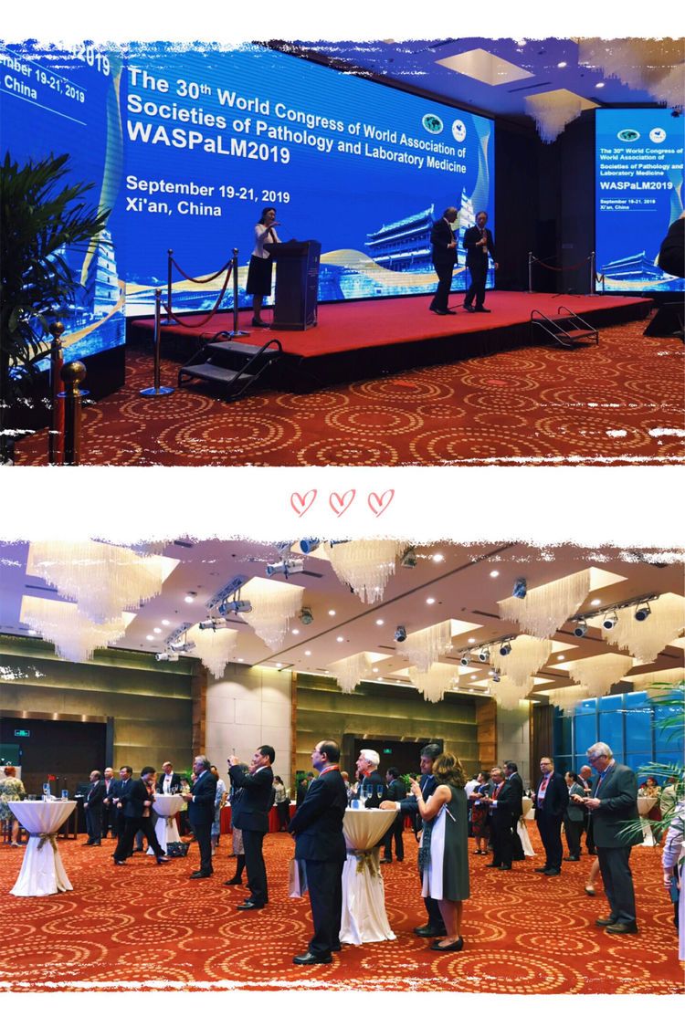 市九院医学检验科助力第三十届世界病理与检验联合大会的成功举办 市九院医学检验科助力第三十届世界病理与检验联合大会的成功举办