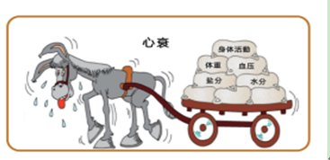 【健康科普】一颗“疲惫的心”，您将如何呵护？（一）