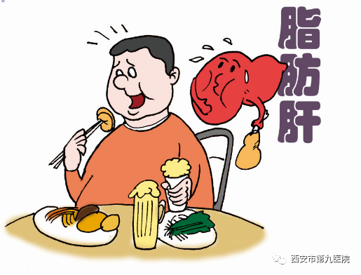 【健康科普】得了脂肪肝怎么办? 【健康科普】得了脂肪肝怎么办?