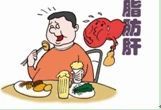 【健康知识】你是脂肪肝偏爱人群吗? 【健康知识】你是脂肪肝偏爱人群吗?