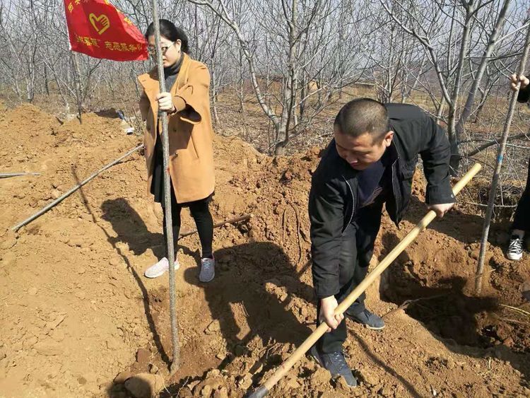 保护大秦岭-青年志愿者在行动