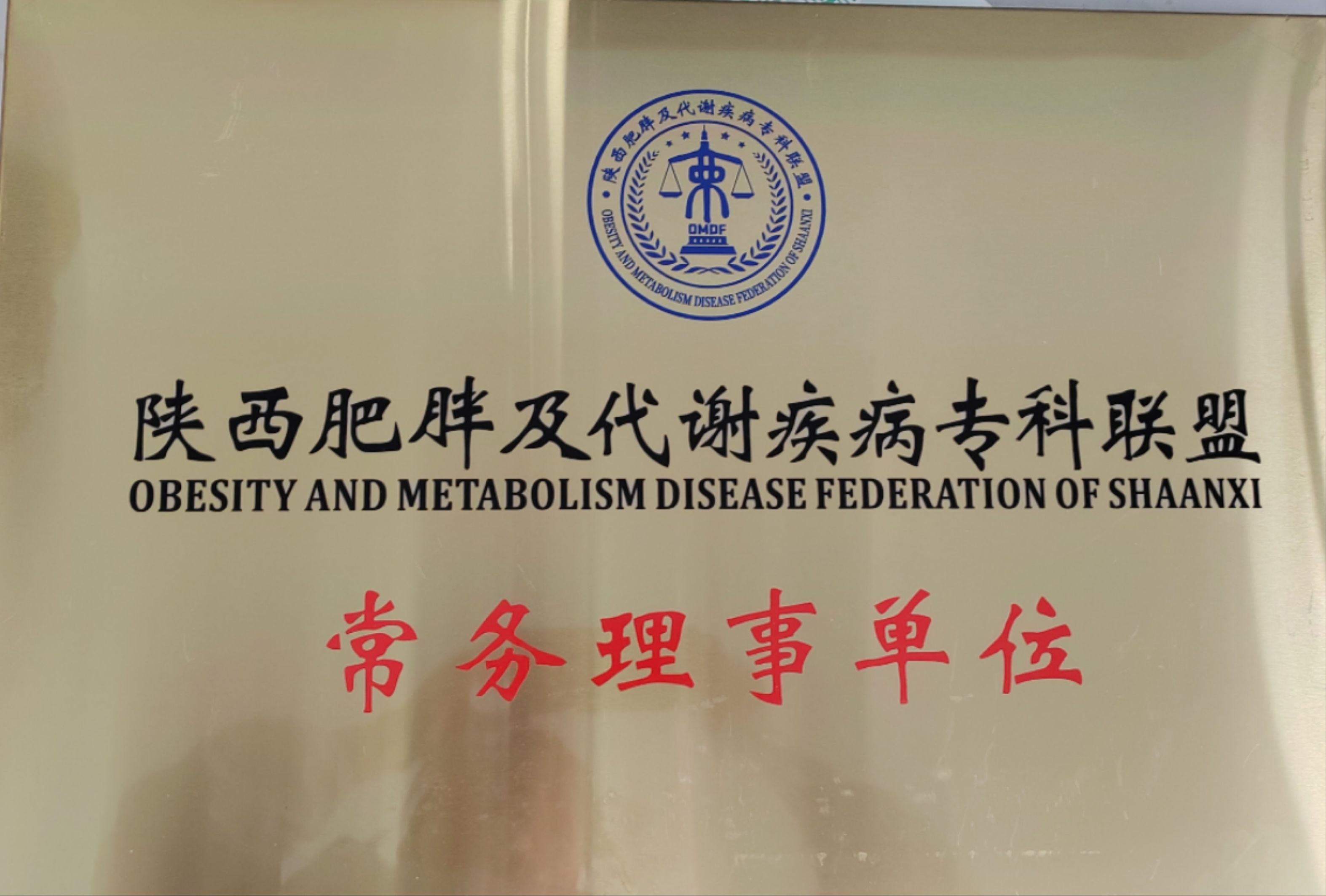携手学科联盟,共筑健康防线 ——我院内分泌科加入陕西肥胖及代谢疾病专科联盟 携手学科联盟,共筑健康防线 ——我院内分泌科加入陕西肥胖及代谢疾病专科联盟