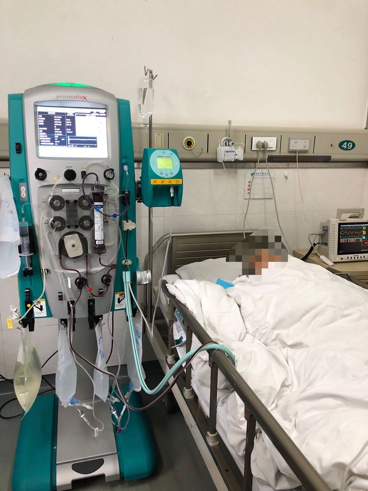 蜂蜇伤不可小觑 蜂蜇伤不可小觑