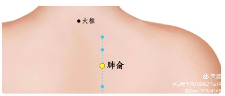 【健康科普】处暑天还暑 好似秋老虎 【健康科普】处暑天还暑 好似秋老虎